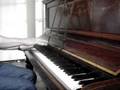 coldplay Violet Hill piano solo chris martin