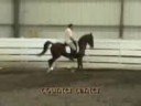 Shawn playing at dressage