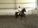 Shawn playing at dressage