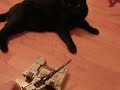 Scorpion Tank VS Catzilla part 1