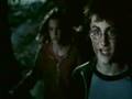 Bring me to life Lupin,Snape,Black
