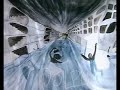 dolphin   serebro  silver 