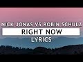 Nick Jonas & Robin Schulz - Right Now tekst piosenki