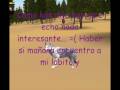 videos de 1-1-2009 Diario de una Loba (Español - English)