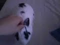 bunnies-cant-phone.html