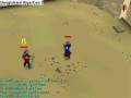 videos de duel arena.WMV