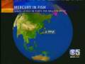 Mercury in Fish - CBS Eye Witness News KPIX part 2.wmv