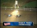 videos de Victoryland 1/5/09 Evening Race 2