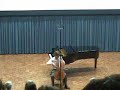J. S Bach Cello Suite 3 C major Bouree and Gigue
