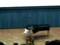 J. S Bach Cello Suite 3 C major Bouree and Gigue