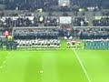 Ospreys V Austrailia