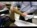 McMurray's and Meniscal Quadrant Test