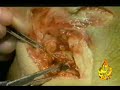 نشيد دينى اسلامى بعنوان الانتفاضه مستمره2