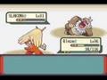 Pokemon-Emerald-Gym-