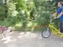 Latvijas pirm?s velokamanas Latvijas pirm?s velokamanas