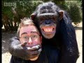 Chimps Are People Too: Chimp Training in Hollywood