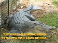 otan kanei poli zesth.....auta pathainoume!!