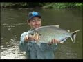 pesca amazonas