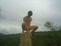 videos de AFR.wmv