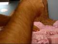 Model Railroad Scenery using Extruded Foam: Part 2