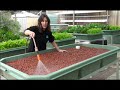 Backyard Aquaponics Intall video Part 1 of 3