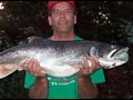 My Salmon Fishing On Lake Michigan