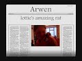 Arwen the amazing rat! (RIP 18/09/07)