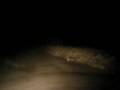 The Top Of Cecilville-Callahan Road In A Snow Storm