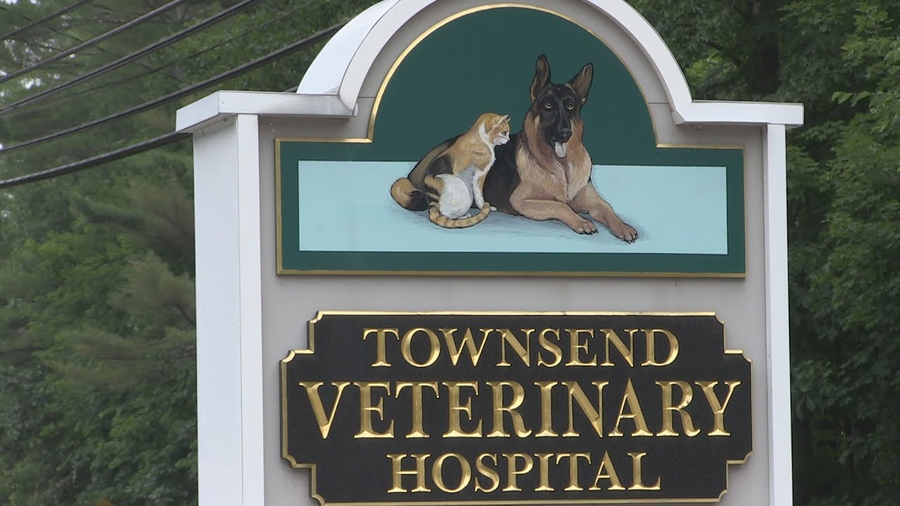 Townsend Veterinary Hospital