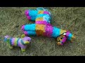 Pinata Hunter Pinata Hunter
