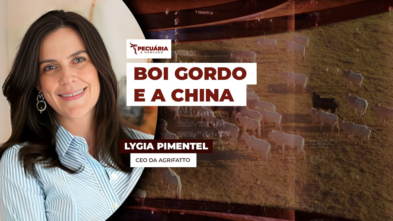 Fim das cotas de exportação e casos de aftosa na China  são fatores de incertezas para preços...