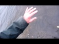 Me catching big pikes