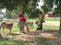 Macon Dog Park Macon Dog Park