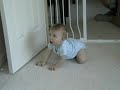 Kaitlin crawling