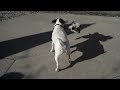 My new Flip Video MinoHD