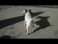 Flip Video MinoHD