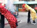 lion dance lion dance