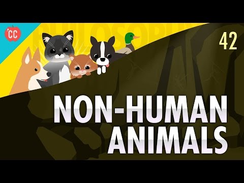 Non-Human Animals: Crash Course Philosophy #42