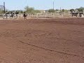 Zach and Decker on Poles