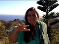 COHERENCE is health and DOLPHINS in Therapy 10f4.flv