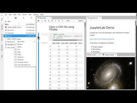 Jupyter Lab Documentation