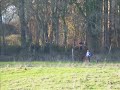 ecuille 12-12-2009 petite boucle.wmv