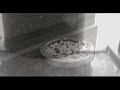 Smoking and Guns and Wolves Smoking and Guns and Wolves