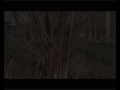 Marco-Mazzini-plays-
