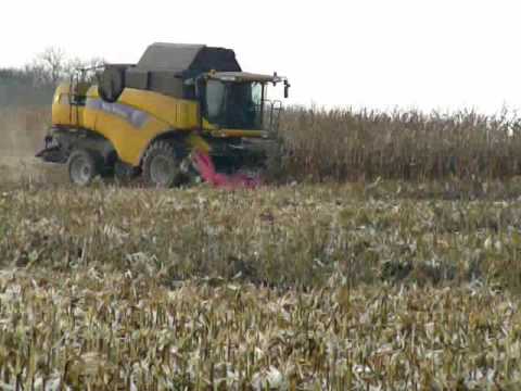New Holland CX 8070 v kukuřici (Zd Nečín)
