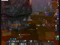 Feral Druid PvP