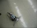 FTC Team 2931 2008 President\