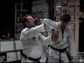 NIHON GOSHIN AIKIDO