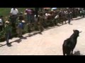 acajete puebla, acajeteada 2009, fue al unico wey que toparon