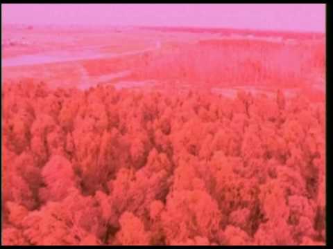 Video de Pulsar de Gustavo Cerati